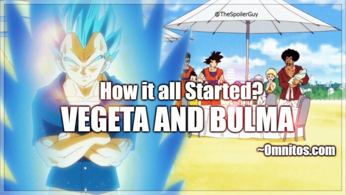 vegeta and bulma