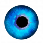 iris_png_by_timelineart-d662eyw