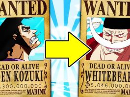 One Piece Archives Page 12 Of 14 Omnitos