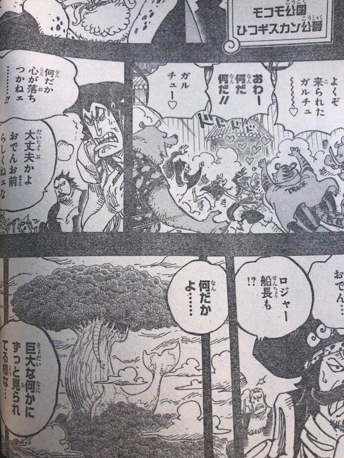 One Piece Chapter 967 Raw leaks, Major Spoilers Released