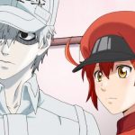 Cells at Work!! Season 2 Updates, Promotional Video, and Cast!! Cells at Work!! Season 2 Updates, Promotional Video, and Cast!!