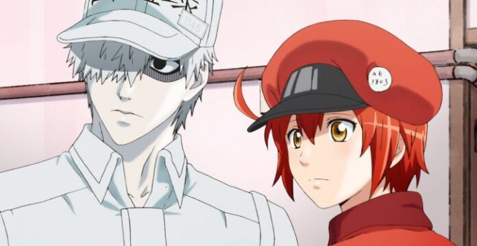 Cells at Work!! Season 2 Updates, Promotional Video, and Cast!!