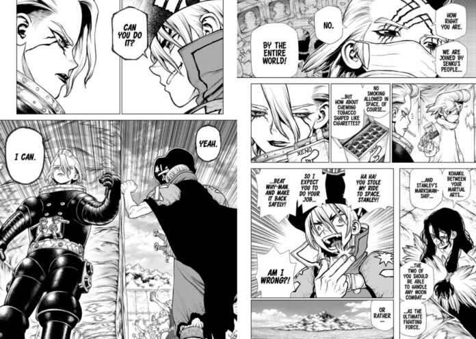 Dr. Stone Chapter 224 Release Date Delayed, Updates & More. - Omnitos