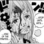 One Piece Chapter 1043