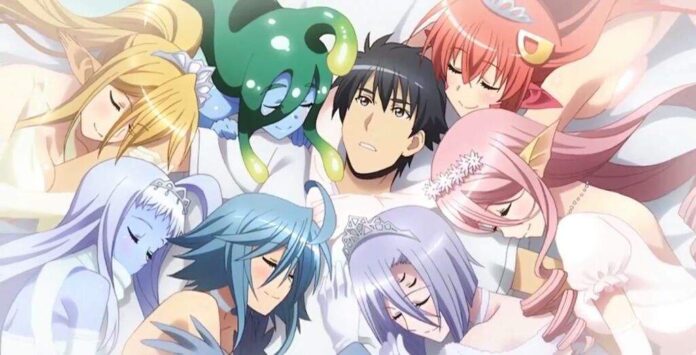 Top 10 Harem Anime that You Would Love To Watch every time!