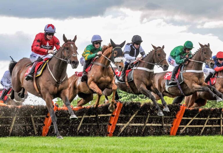 A Beginner's Guide to Horse Betting Omnitos