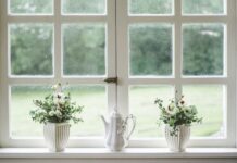 white frame windows for home
