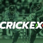 How to start bet at Crickex
