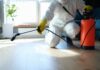 Wollongong Pest Control