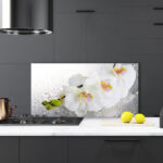 Printed Glass Splashbacks in Modern Kitchen Decor